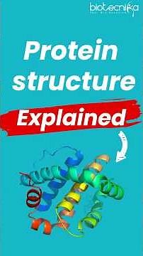 3 Key Protein Structure Differences—Super Simple! 🧪