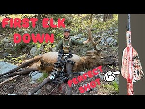 Back Country Archery Elk! Full draw for over 2 minutes!!! Rutting Bull Action