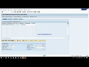 How to Create Outgoing Payment "Automatic choose Invoice" using F-53 in SAP