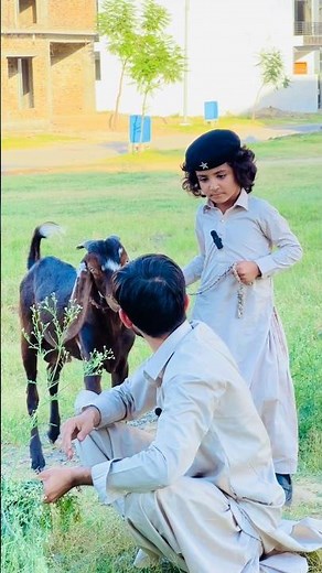 advance Bakra Eid Mubarak🤣🐑😂 #babache #funny #ekmotahathighumechala