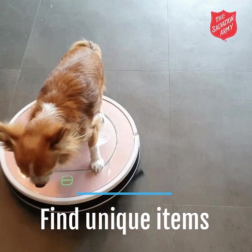 The Salvation Army Online Thrift Store - Open 24/7! Discover a world of treasures for all occasions or just a little somethin' for yourself! > Shopthesalvationarmy.com | Salvation Army Thrift Store US West