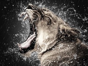 Free Jingle BGM "Jingle 66": Cool, Stylish, Sophisticated, Perfect for Openings & Endings