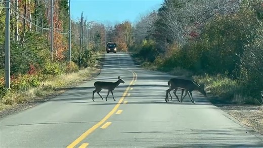 Lighthouse road Digby Nova Scotia | Terrence Cannon