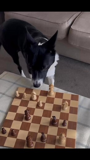 Barney is for your eyes only, only for you his fans. | Stephen Kelleher