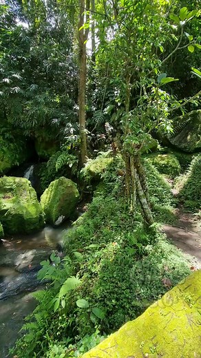 15K views · 568 reactions | Ancient Unfinished Temple Discovered in...