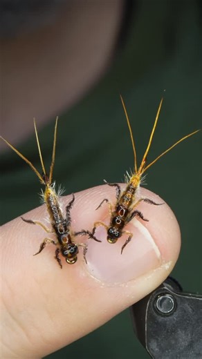 Brian Smith | Realistic Mayfly Nymph! Hook: Core 1560 size 14 Underbody: TheFlySmith 300D worm thread Thread: TheFlySmith 20D gsp and 32D gsp Tail:... | Instagram