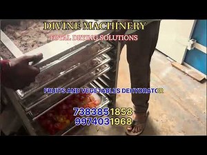 Fruits And Vegetable Dehydrator machine