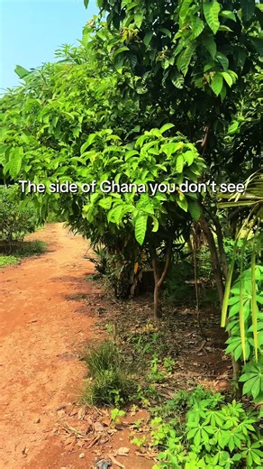 🌿 Hidden waterfall hike in Ghana. The side of Accra you don’t see 📍Adom Waterfalls #exploreghana #ghanatiktok #accraghana #dettydecember #thingstodoinaccra