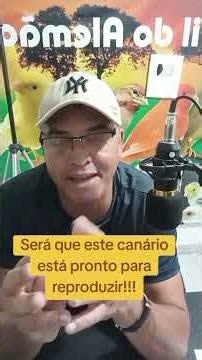 How to tell if a canary is ready to breed #birds #animals #tips