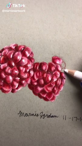 Finished my raspberry drawing #art #artist #fyp #fy #foryou #foryoupage #viral #raspberry