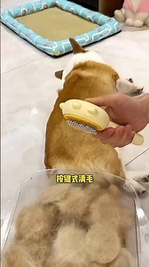 Use this exquisite and easy-to-use floating hair comb to comb cats and dogs, and you can clean a lo