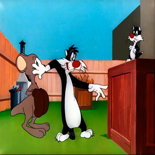 Cartoon Videos on Reels