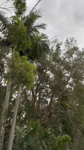 1.7K views · 159 reactions | Storm is coming ⛈️ | Reggie Bird | Facebook