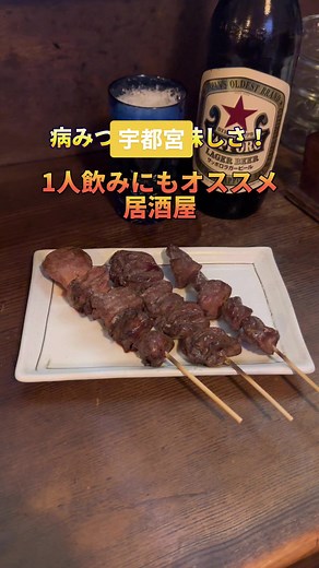 宇都宮駅から歩いていけるお酒好きにオススメの居酒屋🍻#栃木グルメ#宇都宮グルメ