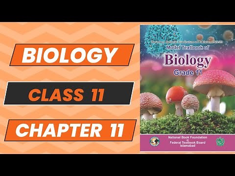 Bio 11 Ch 11 Reproduction New Book NBF 2024 Complete Explanation FBISE