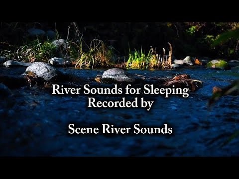 Natural River Sounds for Sleeping |Insomnia Relief & Stress Reduction #riversounds #river #sleeping