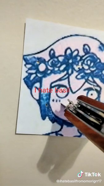 basil HATEPAGE 17 on TikTok