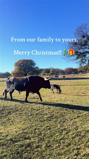 📍 Legacy Longhorn Resort | Parker County, Texas Merry Christmas from our ranch to yours 🤍 We’re thankful for every guest, every stay, and every memory made out here this year. Whether you’re celebrating today or already dreaming about your next getaway, we’ll be right here when you’re ready. 👉 Book your stay: LegacyLonghornResort.com #LegacyLonghornResort #booknow #HolidayCamping #merrychristmas #Christmas | Legacy Longhorn Ranch