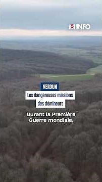 En immersion avec les démineurs