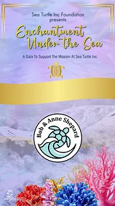 🌊 Thank you Bob & Anne Shepard for joining us as an Ocean Guardian Sponsor. We are so grateful for your partnership and support! 💙✨ | Sea Turtle, Inc