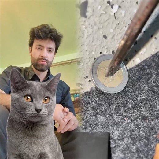 #dogs #cats #comedy #pets extended version