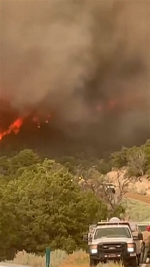 A forest fire has destroyed a historic lodge in the Grand Canyon National Park, the area's only tourist accommodation. Authorities said the fires were sparked by lightning strikes. | DW News