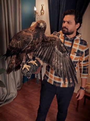 Effective SAT Reading Tricks for Success