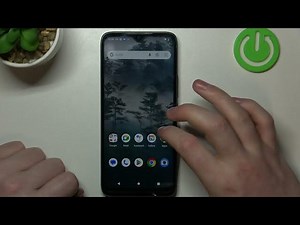 Does Nokia C12 have Fingerprint Scanner?