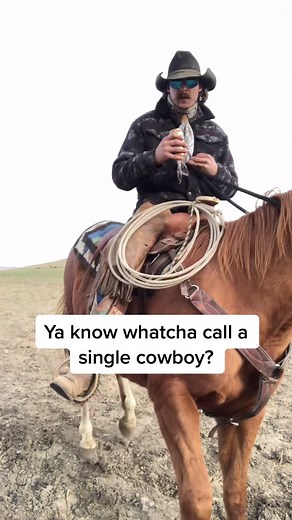 Funny Cowboy Jokes in Wyoming