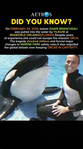The Orca That Changed SeaWorld #history #facts