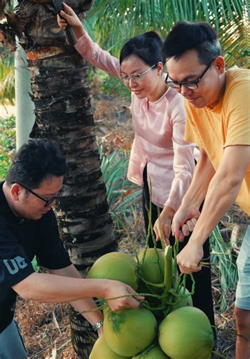 Hậu trường chặt buồng dừa decor cổng cưới Út Về Vườn