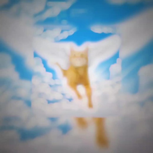 #фанбенчик #симба #симбочка #рекомендацеи #симбамладший