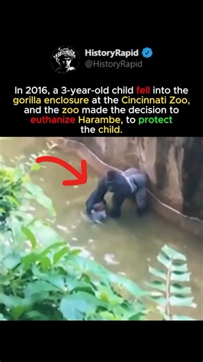 A Zoo Decision That Shocked Millions #shorts