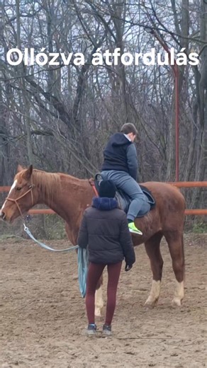 Rudolf Golyó on Reels
