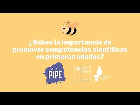¿Qué es PIPE?