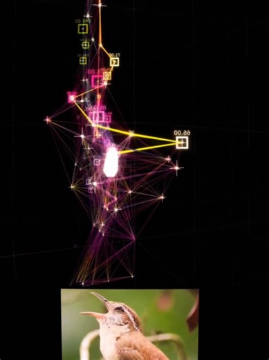 What if you could see birdsong in 3D? 🐦✨ Not just up, down, left, or right — but truly all around. A way for the Deaf to experience birdsong visually. #3Daudio #Birdsong #Deaf Credit @lucioarese