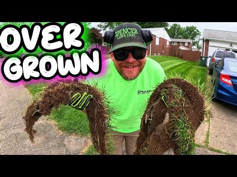 HOW DOES THE WORST OVERGROWN LAWN LOOK 8 DAYS LATER!