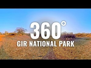 Gir National Park