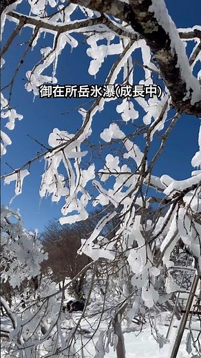 Icefall growing on Mt. Gozaisho #shorts