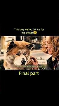 This dog waited 10 yrs for his owner😢#shorts #movie