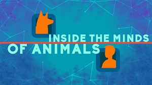 Do Animals Really Think, or Are They Just Following Their Instincts?