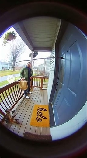 Monkey pooping on the door😯 #fypシ゚viral #funny