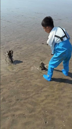 Seaside Foraging With Kids Catching Mantis Shrimp #ForagingHaul #GiftsFromTheSea