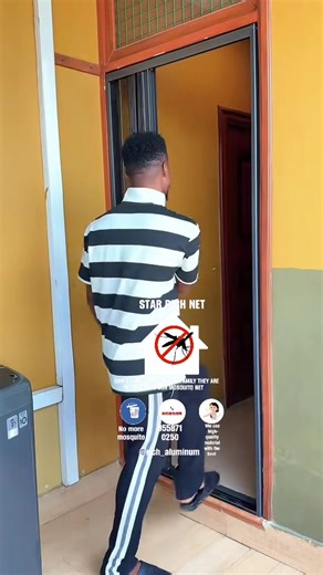 Effective Ways to Keep Mosquitoes Out of Your Home