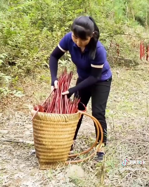 Exploring Sustainable Gardening Techniques