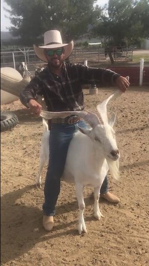 Goat Riding