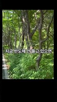 삼성전자, sk하이닉스 안 사면 바보? 한국인만 느끼는 주식 지옥 FOMO"