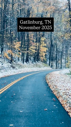 Falling snow and leaves near Gatlinburg, November 10 2025 #smokymountains #gatlinburg #thesmokymountains #gatlinburgtennessee #snow | The Smoky Mountains
