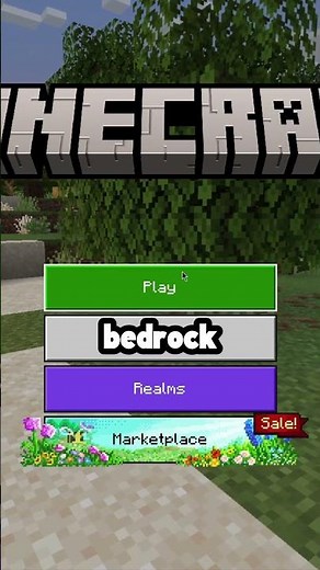 Explore A Massive 1-1 Earth Map In Minecraft Bedrock