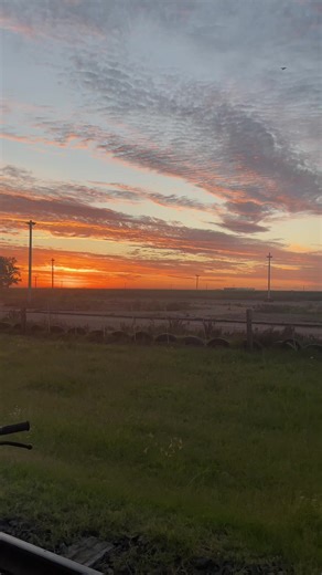 Todo sobre la XR Honda 150: Opiniones y características